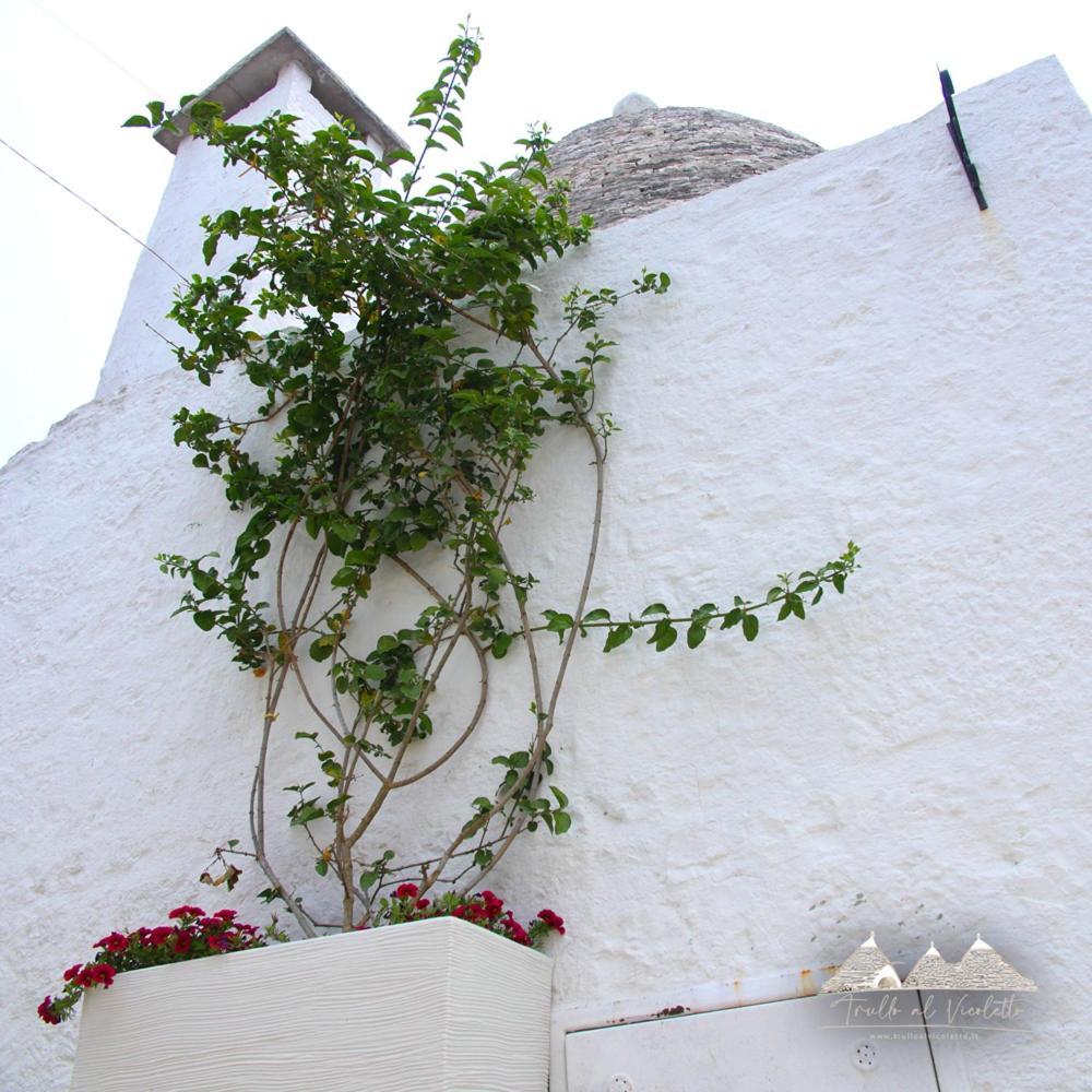 Trullo Al Vicoletto Al Civico 10, Civico 8, Civico 7 Villa Alberobello Eksteriør bilde
